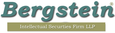 Bergstein Intellectual Securities & Law Firm Logo